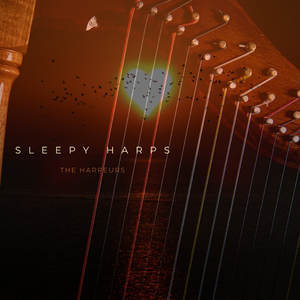 导管专用网站入口免费下载安装
