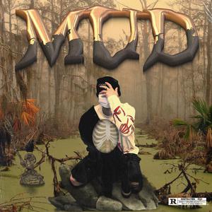 导管专用网站入口免费下载安装
