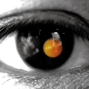 导管专用网站入口免费下载安装
