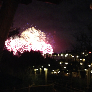 导管专用网站入口免费下载安装
