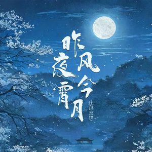 导管专用网站入口免费下载安装
