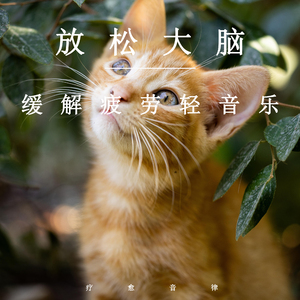 导管专用网站入口免费下载安装
